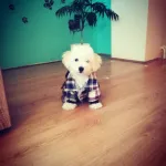 Profilna fotografija korisnika AleksandraEdi