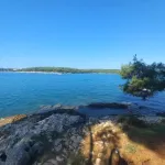 Profilna fotografija korisnika Garderobica_