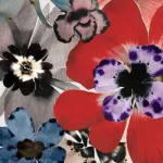 Profilna fotografija korisnika Kolarova