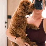 Profilna fotografija korisnika Littlebird