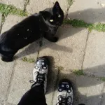 Profilna fotografija korisnika MarianneMary