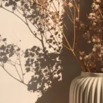 Profilna fotografija korisnika marijamandarina