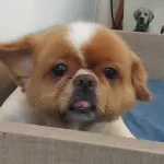 Profilna fotografija korisnika Mstan