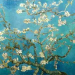 Profilna fotografija korisnika Rea