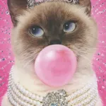 Profilna fotografija korisnika RenataKona