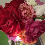 Profilna fotografija korisnika Roze1983