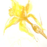 Profilna fotografija korisnika SANDRA