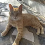 Profilna fotografija korisnika Zo