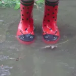 Profilna fotografija korisnika Mara 🐞