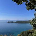 Profilna fotografija korisnika dadav