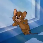 Profilna fotografija korisnika Dragance