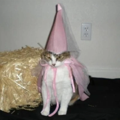 DUMB SHIT I NEVER WEAR