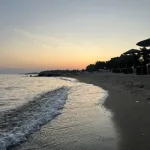 dunjica0
