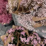 Profilna fotografija korisnika Moj ormaric 🌷