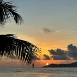 Profilna fotografija korisnika ks25