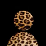 Profilna fotografija korisnika Mia