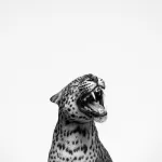 Profilna fotografija korisnika mj