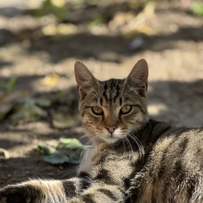 Marko