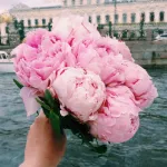 mycorner123