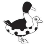 Profilna fotografija korisnika nying25