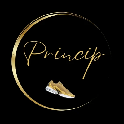 Princip patike