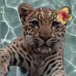 Profilna fotografija korisnika sarasteviic_