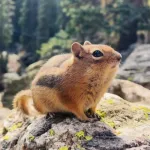 Profilna fotografija korisnika Stepanovic00