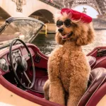 Profilna fotografija korisnika tix7