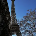 Profilna fotografija korisnika Kolektivni haos