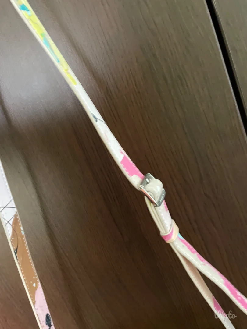 Desigual sarena torbica