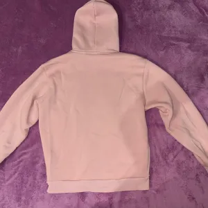 Enigma Dynasty komplet trenerka