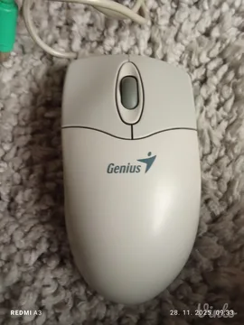 Genius mis sa kuglicom