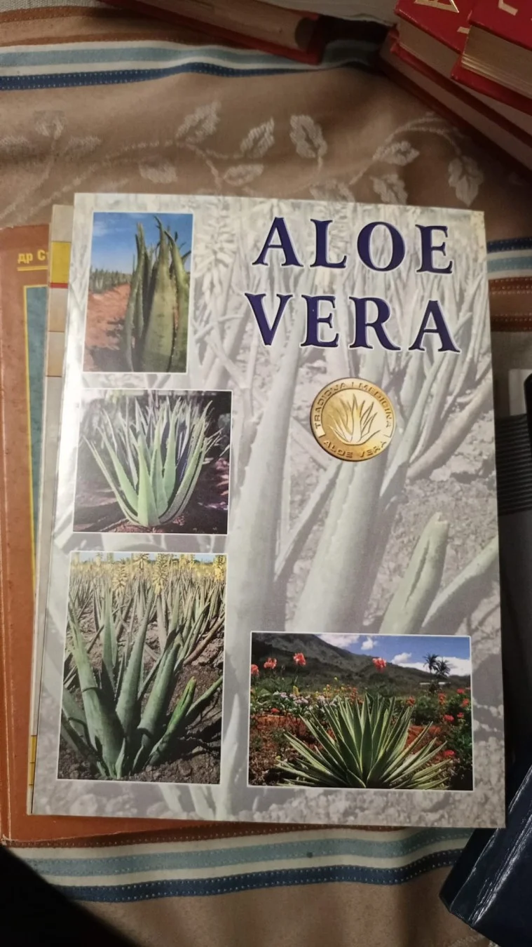 Aloe Vera
