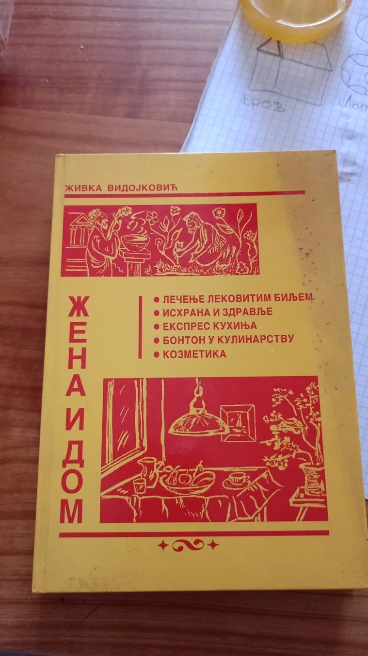 Zena i dom - Zivka Vidojkovic