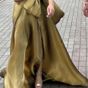 Haljina svecana Paula Richi