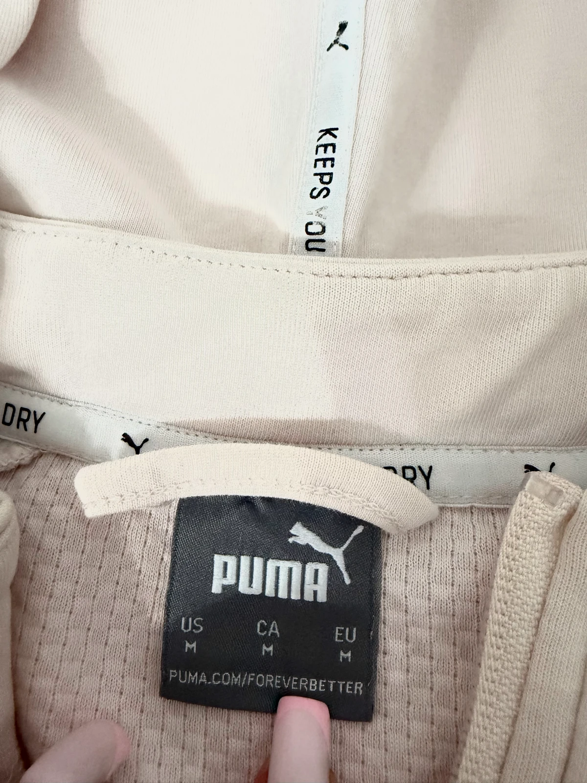 Puma duks