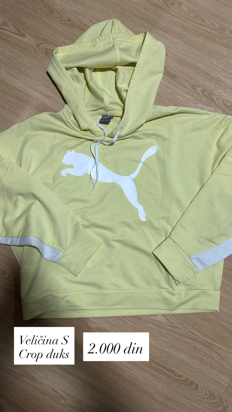 Puma duks