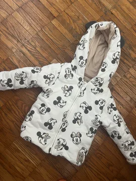 Disney jaknica