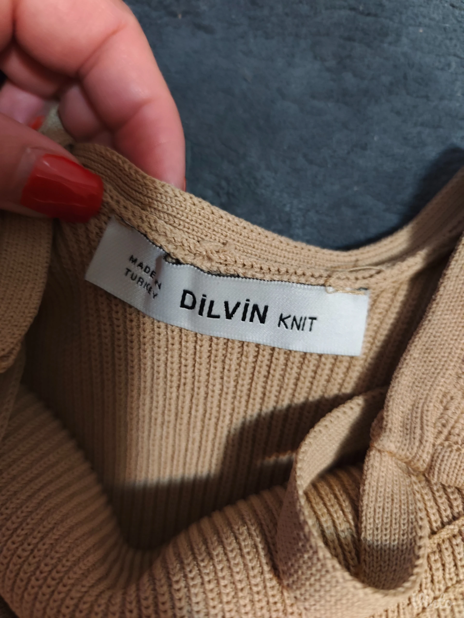 Dilvin bodi