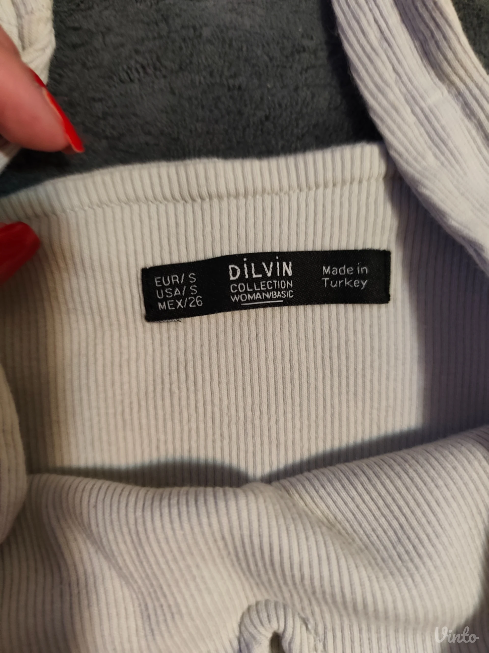 Dilvin bodi