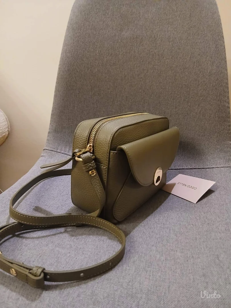 Coccinelle nova torba