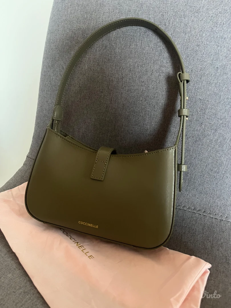 Coccinelle nova torba