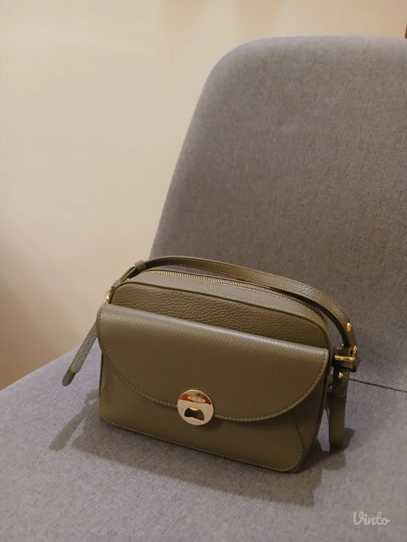 Coccinelle nova torba