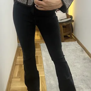 Caliope farmerke zvoncare - M