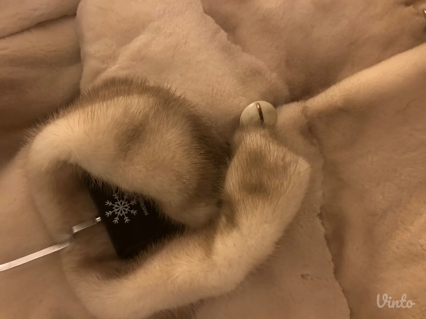 Bunda Kapućino nerc šišani