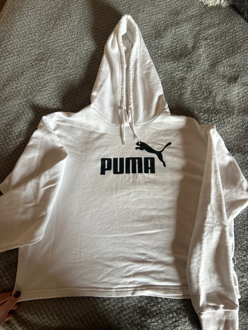 Puma duks