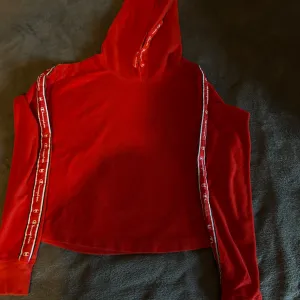 Champion duks