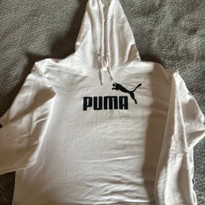 Puma duks