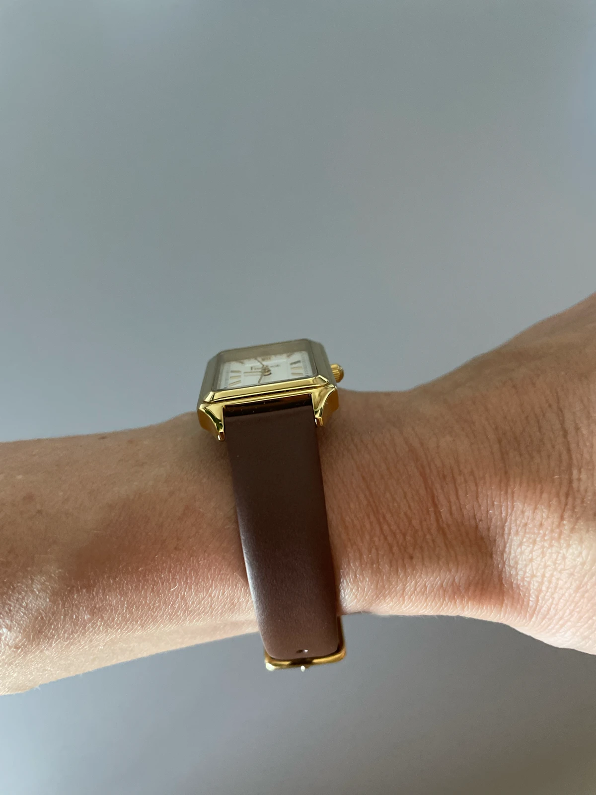Freelook Paris watch