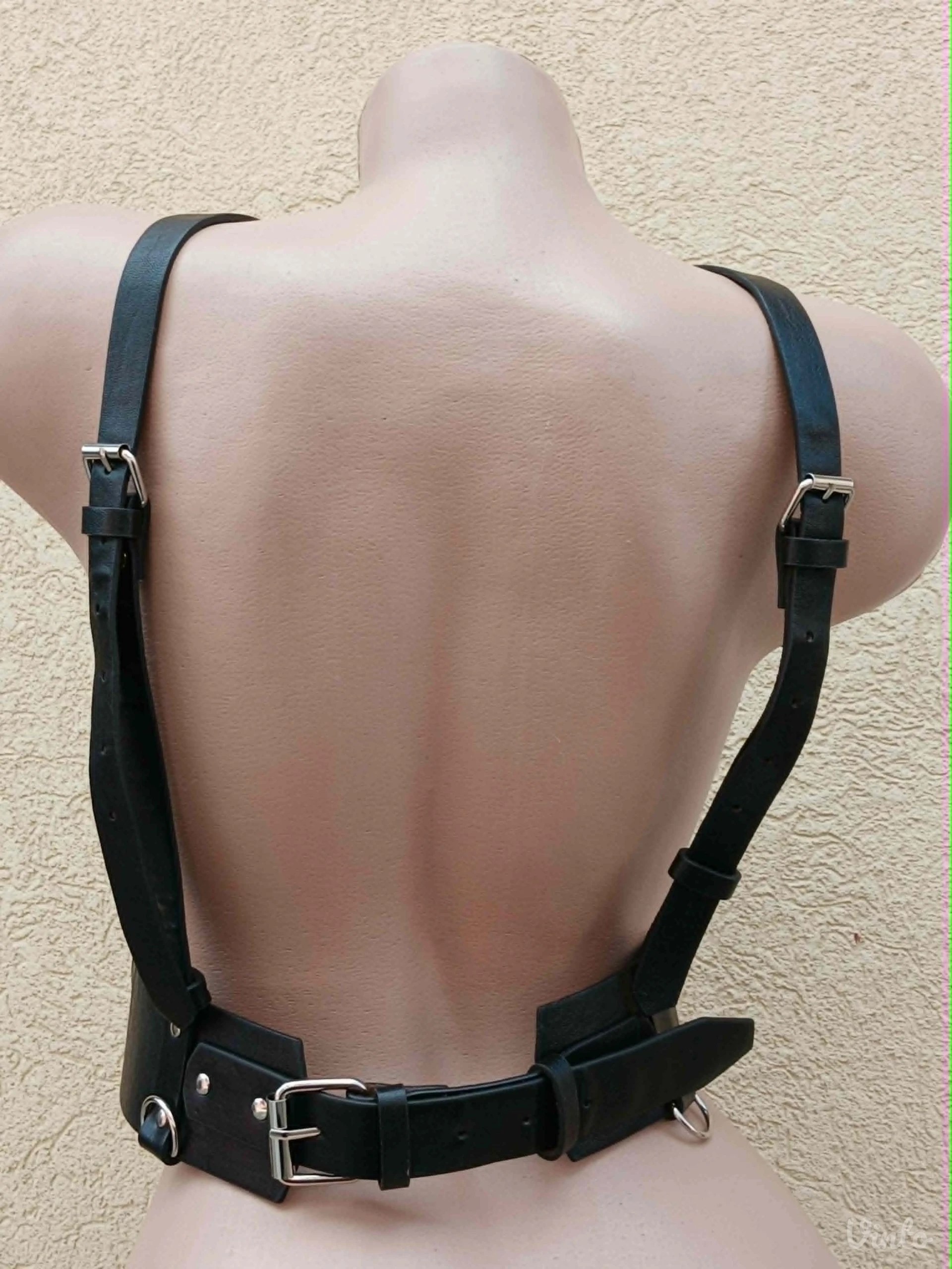 Harness